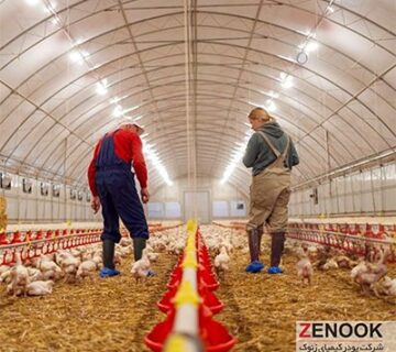 توکسین بایندر