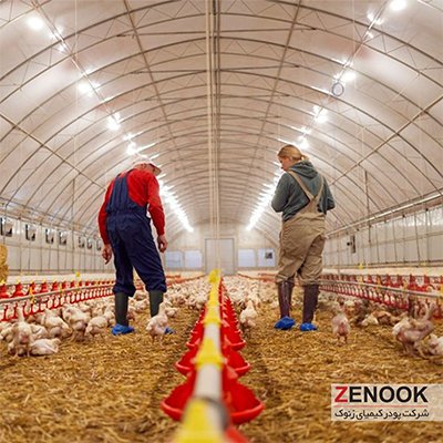 توکسین بایندر