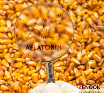 Aflatoxin