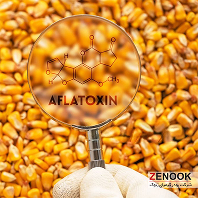 Aflatoxin