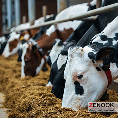 نقش توکسین‌بایندرها