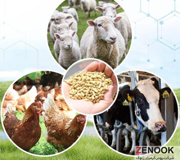 اهمیت مکمل های معدنی در خوراک دام و طیور