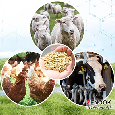 اهمیت مکمل های معدنی در خوراک دام و طیور